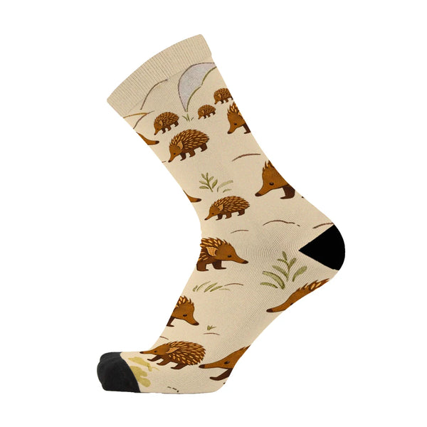 Echidna Walkabout Red Fox Sox