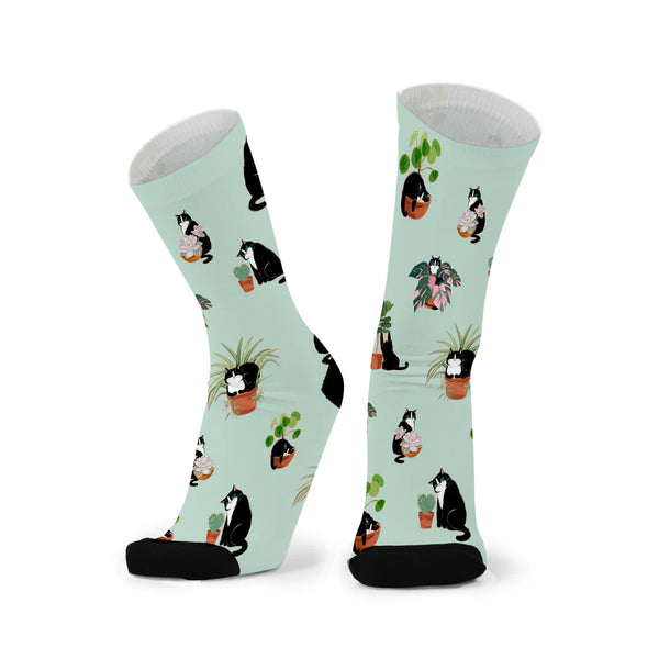 Cats & Plants Red Fox Sox