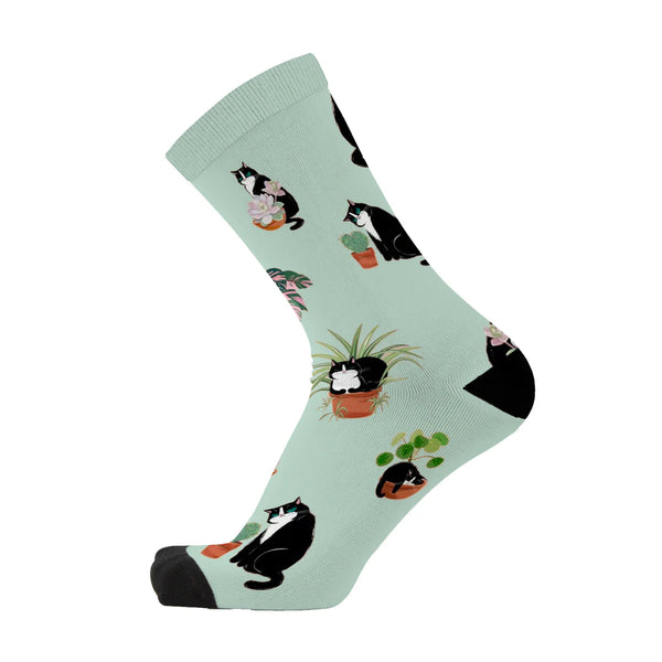 Cats & Plants Red Fox Sox