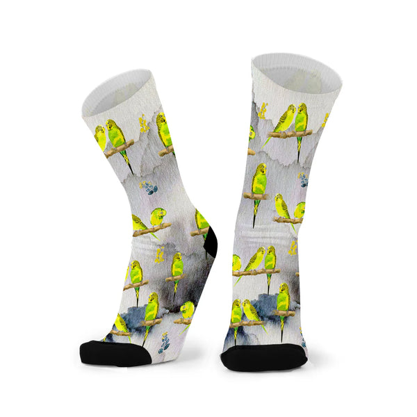 Budgies Large Red Fox Sox