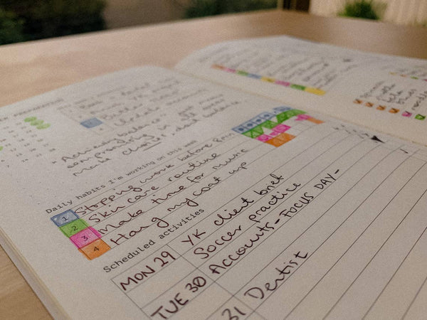 Fast Brain Daily Productivity Planner- Single Notebook
