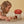 Mushroom House With Hedgehog