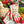 Ladybird Garden Gloves