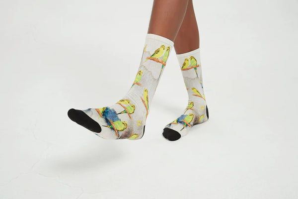 Budgies Large Red Fox Sox
