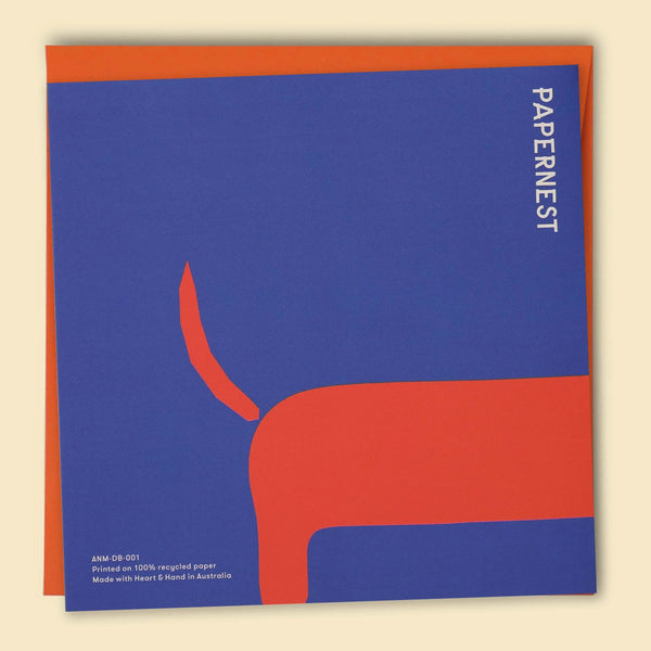 Happy Birthday Dachshund Card