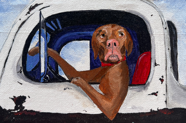 Rupert the Vizsla Greeting Card