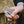 Credit Card Tool