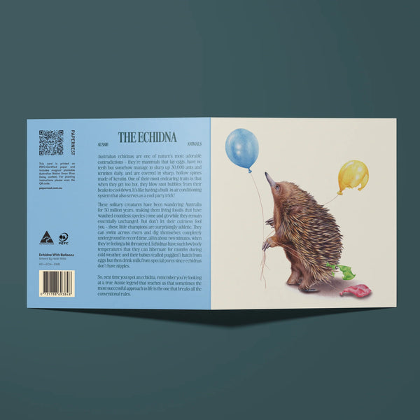 Echidna With Balloons Card