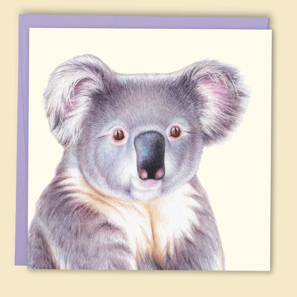 Big Koala Blank Card