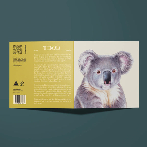 Big Koala Blank Card