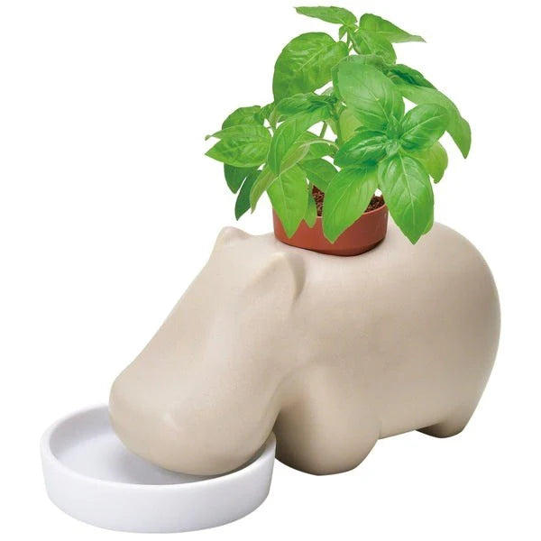 Hippoplant Beige – Basil
