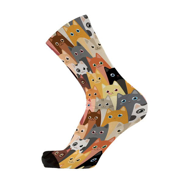 Herding Cats Red Fox Sox