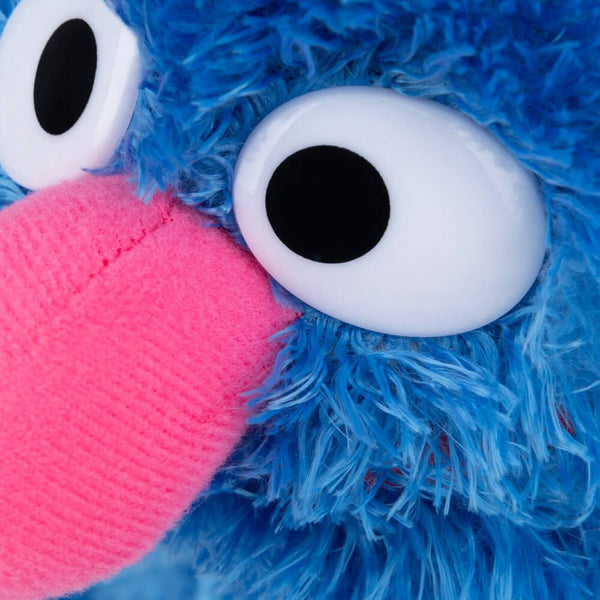 Grover Sesame Street Character