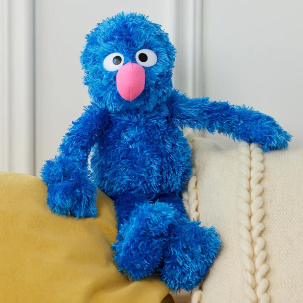 Grover Sesame Street Character
