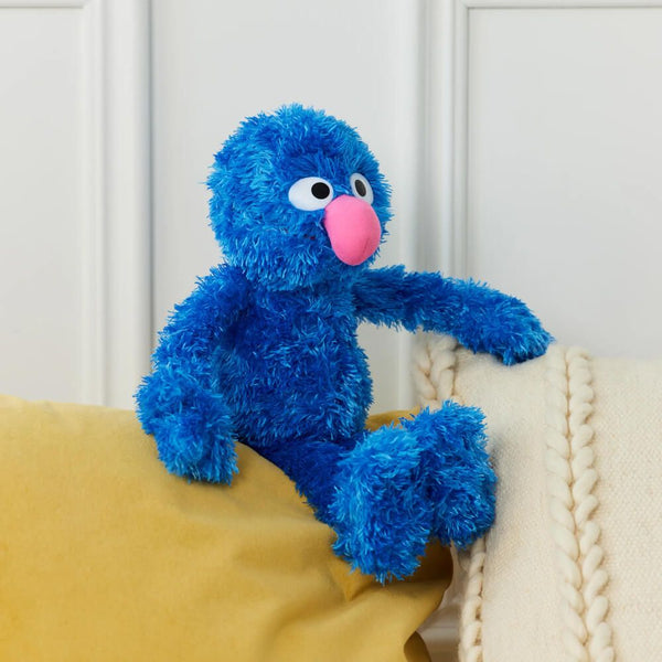 Grover Sesame Street Character