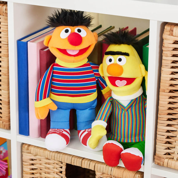 Ernie Sesame Street Character
