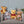 Winney the Pooh OH SO SNUGGLY