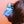 Bird Brain Pigeon Hair Claw Clip