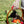 Ladybird Garden Gloves