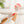 Ladybird Garden Gloves