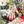 Ladybird Garden Gloves
