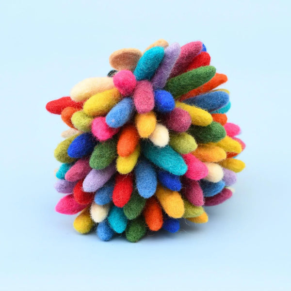 Colourful Rainbow Hedgehog