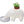 Polar Bear Plant – Mint