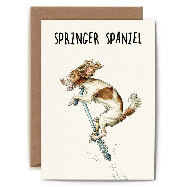 Springer Spaniel