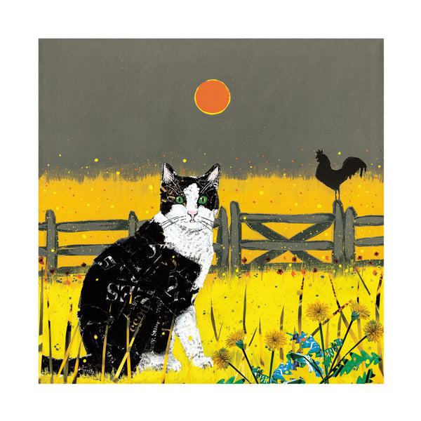 Farm Cat & Dandelions