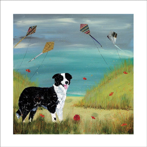 Collie in Sand Dunes