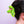 Venus Fly Trap Hair Claw Clip